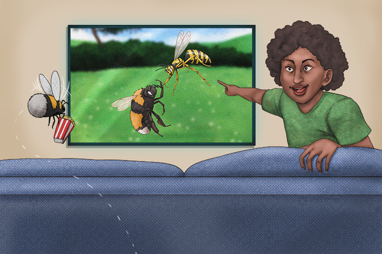 While watching television, I tell a bee the show is on (televisión).